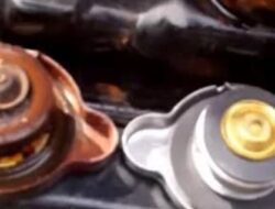 Tanda Ini Kerap Muncul Jika Tutup Radiator Mobil Mulai Melemah, Perhatikan!
