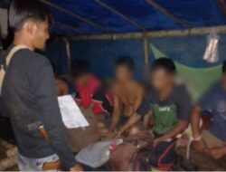 Polda Aceh Ringkus 12 Terduga Pelaku Tambang Emas Ilegal