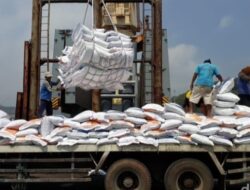 Rencana Impor Beras Bulog Ditolak Petani