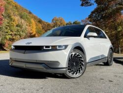 Ioniq 5, Eks G20 Bali Dibanderol Segini