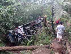 7 Penumpang Tewas saat Bus di Magetan Terjun ke Jurang