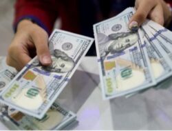 200 Perusahaan Punya ‘Tabungan Dolar’ Berlimpah