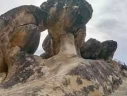 Batu Hidup Bisa ‘Melahirkan’ Bikin Penasaran Ilmuwan