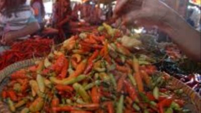 Harga Cabai Mulai Merangkak Naik