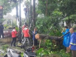 Kabel Wifi Semrawut Tutup Jalan Imam Bonjol Medan