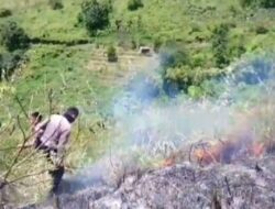 7 Hektar Lahan Hutan di Humbahas Dilahap Sijagomerah
