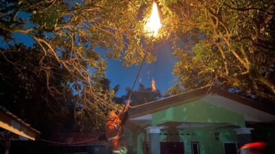 Petugas BPBD Binjai saat melakukan pemusnahan tawon di rumah warga.