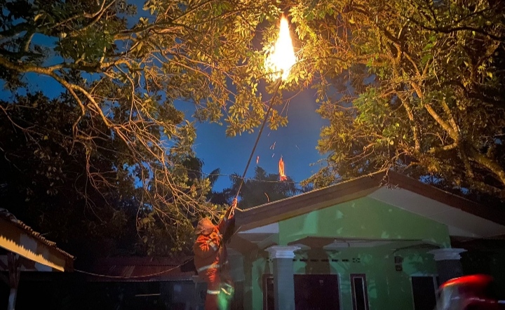 Petugas BPBD Binjai saat melakukan pemusnahan tawon di rumah warga.