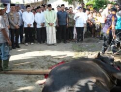 Walikota Bobby dan Keluarga Sumbang 2 Ekor Hewan Kurban ke Medan Deli