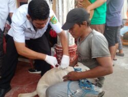Pemko Medan Suntik Vaksin Rabies Hewan Peliharaan Warga