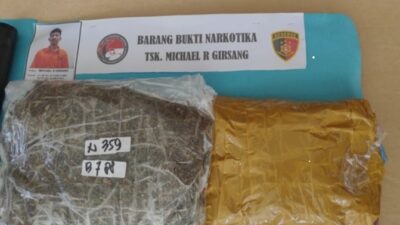 Upah Rp1 Juta Edarkan Ganja Bikin Pria di Medan Diciduk Polisi