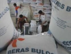 Bulog Sebut Kenaikan Harga Beras di Medan Dipengaruhi El Nino