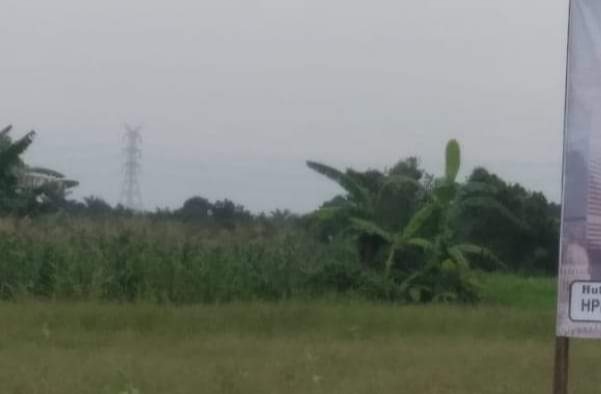 Lahan HGU PTPN 2 yang sampai saat ini belum juga dihapus bukukan tanahnya (portaswara.com/Syahril)