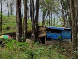 Warung Ini Nekat Buka di Tengah Hutan Trenggalek Sendirian Hingga Malam Hari