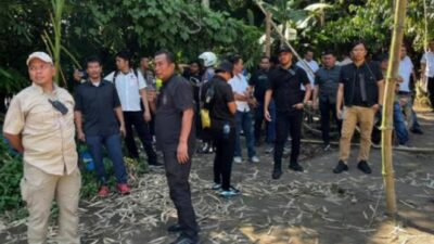 Satresnarkoba Polrestabes Medan Ungkap 56 Kasus Narkoba dalam Sepekan