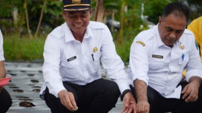 Walikota Irsan Efendi Nasution Tanam Perdana Bawang Merah di Desa Sabungan Sipabangun