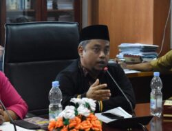 Syaiful Ramadhan Sesalkan Pohon di Pinggir Sungai Deli Dibabat Habisl