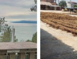 Kibo Pengusaha Lidi Sawit Buka Lapangan Kerja Baru di Kota Binjai