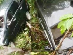 Avanza 7 Penumpang Terjun ke Jurang 50 Meter