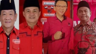 PDIP Mencoba Impor Calon Gubernur Sumut dari Luar Daerah