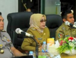 Plt Bupati Labuhanbatu Bersama Forkopimda Ikuti Peresmian Peluncuran Digitalisasi