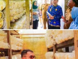 Pjs Bupati Labuhanbatu Kunjungi Bank Sampah dan BTJT di Bilah Hulu