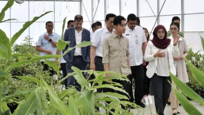 Tinjau Taman Sains Teknologi Herbal dan Hortikultura, Wapres Gibran Apresiasi Inovasi Riset dan Hilirisasi Produk