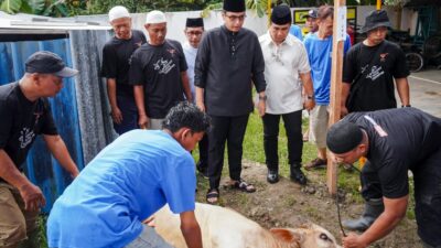 Saksikan Pemotongan Hewan Kurban Rico Waas Harapkan Berkurban Dapat Bersihkan Hati dari Sifat Buruk