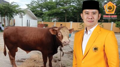 MKGR Sumut Kurban 4 Ekor Sapi di Tiga Daerah