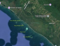 Bukan di Masa Bobby Nasution Status 4 Pulau Ditetapkan Kemendagri Masuk Sumut Sejak 2022