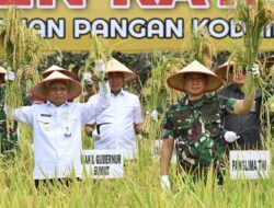 Wagub Sumut Bersama Panglima TNI Panen Raya Padi di Deliserdang