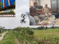 Bank Sumut Belum Temui Ahli Waris Kreditur Rp23 Miliar, Kredit Macet PT Pangripta Disupervisi KPK Tak Tuntas