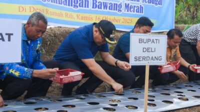 STM Hulu Diproyeksikan Sebagai Sentra Bawang Merah