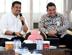 Pemprov Sumut Susun Strategi Pengembangan Kawasan Unggulan Tiga Sektor