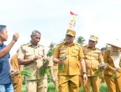 Gerakan Tanam Bawang Merah: Pemkab Gelorakan Semangat Petani Optimalkan Potensi Lahan