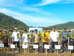 Rehabilitasi Lahan Sawah di Deli Serdang Titik Balik Ketahanan Pangan di Sumut