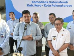 Kirim 1,050 Ton Cabai Merah ke Palangkaraya, Bobby Dorong Stabilitas Harga dan Kesejahteraan Petani