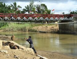 Resmikan Jembatan Bailey di Tapteng, Bobby Nasution Janji Beri Modal Usaha untuk Warga