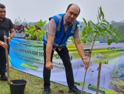 Perumda Tirtanadi Tanam 1.000 Pohon di Sibolangit, Ardian Surbakti: Masih Banyak Aktivitas Penebangan Pohon