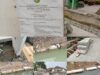 UDitch Pecah dan Rompal di Proyek Drainase Rp6,9 M  Jalan Baru-Jalan Andansari Terjun, SDABMBK Medan dan Kontraktor Bungkam, LP3: APH Cegah Kerugian Negara, Jangan Makan Gaji Buta